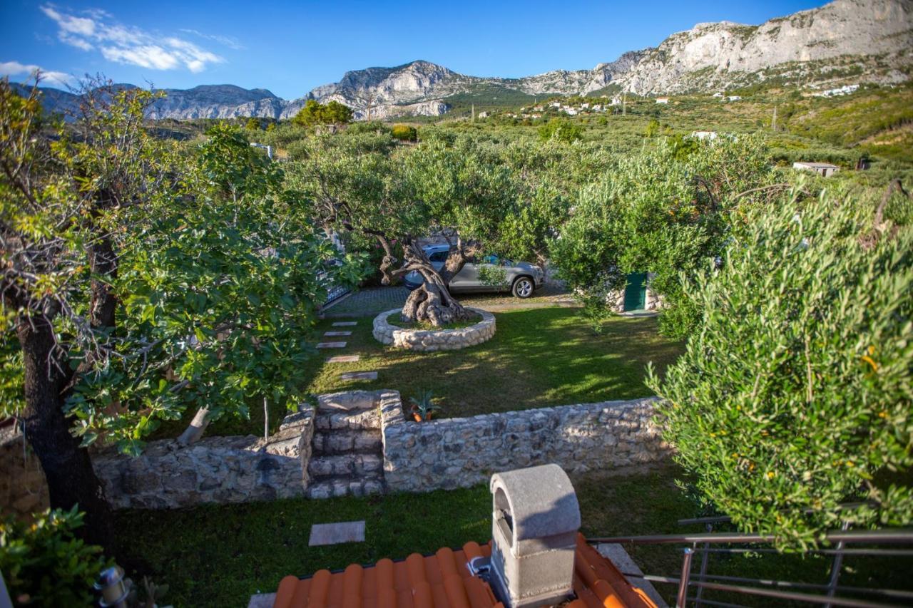 Villa OLD OLIVE, 3lovelyvillas Podgora Esterno foto
